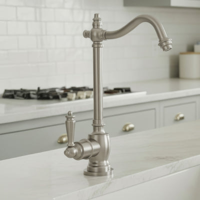 Point of Use Instant Hot Water Drinking Faucet with Traditional Swivel Spout