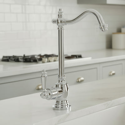 Point of Use Instant Hot Water Drinking Faucet with Traditional Swivel Spout