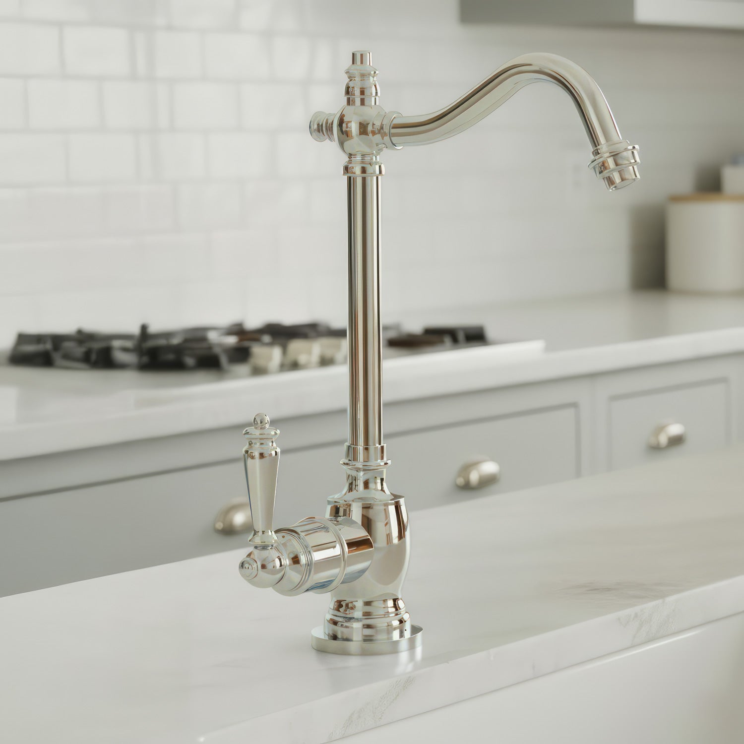 Point of Use Instant Hot Water Drinking Faucet with Traditional Swivel Spout