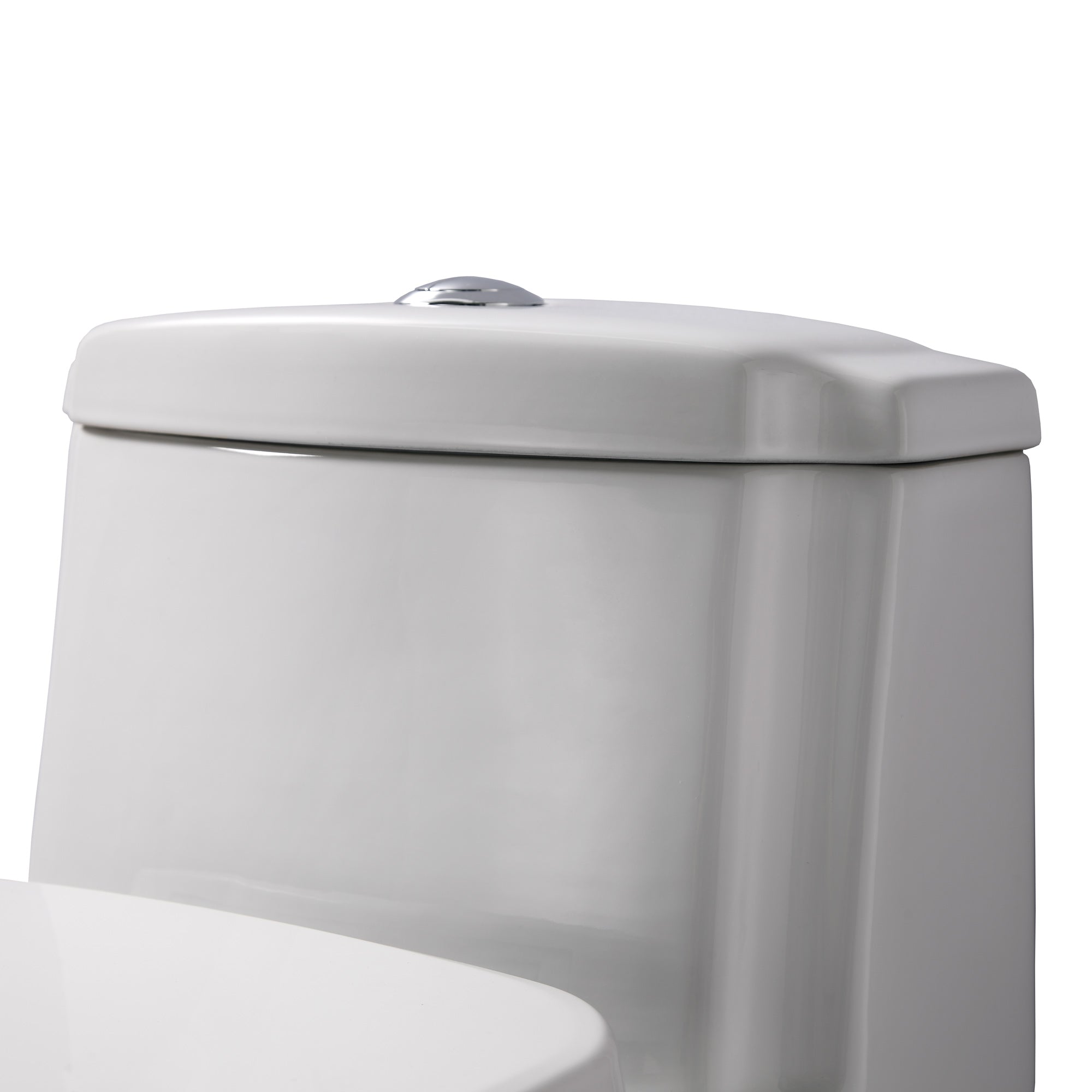 Eco-Friendly One Piece Toilet with a Siphonic Action Dual Flush System, Elongated Bowl 1.6/1.1 GPF