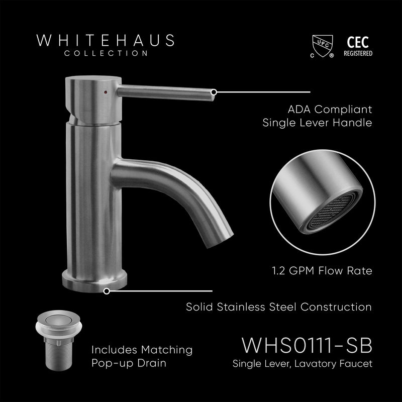 Solid Stainless Steel, Single Hole, Single Lever Lavatory Faucet with Matching Pop-up Waste