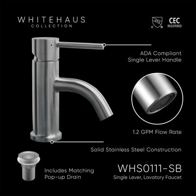 Solid Stainless Steel, Single Hole, Single Lever Lavatory Faucet with Matching Pop-up Waste