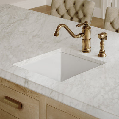 Undermount/drop-in single bowl fireclay kitchen sinks, stainless steel grid included
