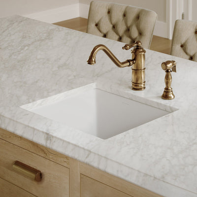 Undermount/drop-in single bowl fireclay kitchen sinks, stainless steel grid included