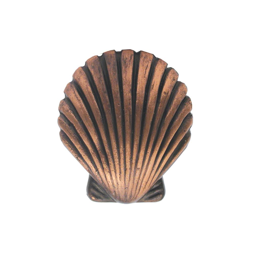 Solid brass seashell-shaped knob.
